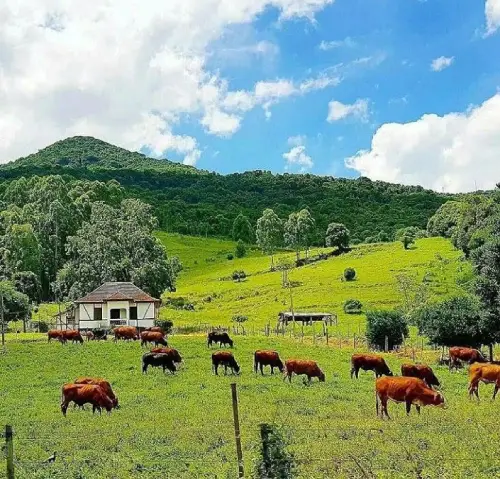 Tradição, Sabor e Diversidade: